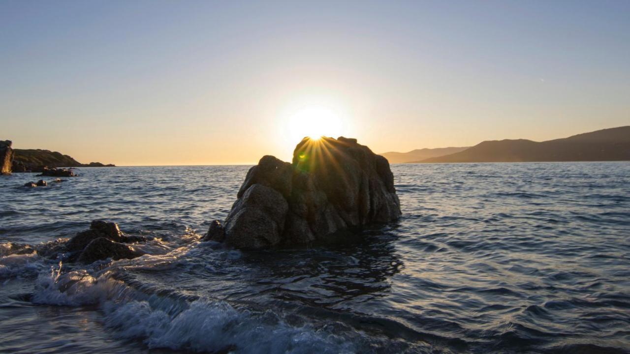 Propriano Proche Port Et Mer Bilik gambar